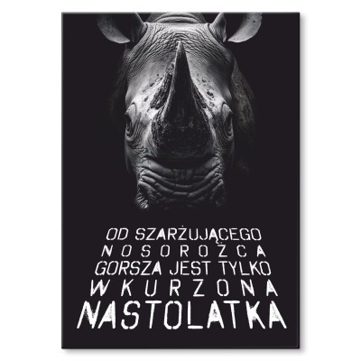 Poster metal wkurzona nastolatka gift