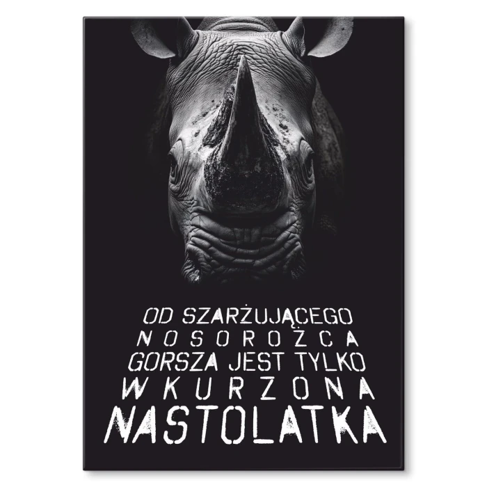 Poster metal wkurzona nastolatka gift