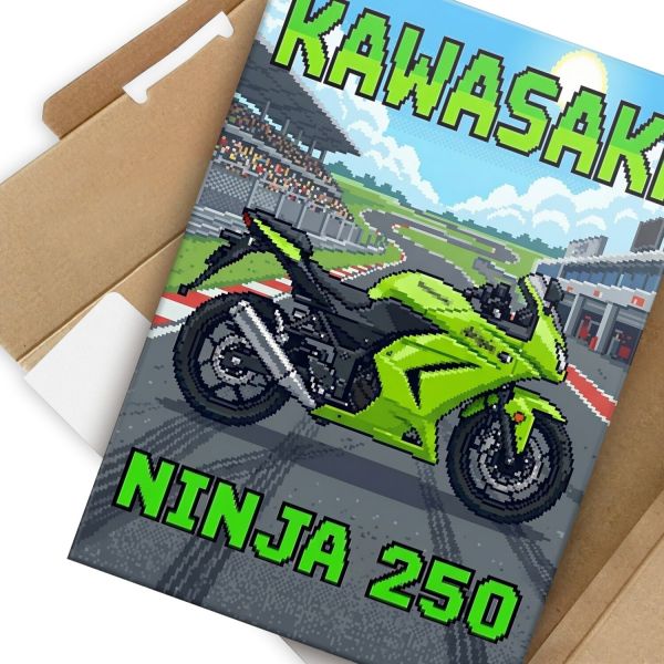 Kawasaki Ninja 250 Retro Pixel