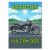 Kawasaki Vulcan 900 Pixel