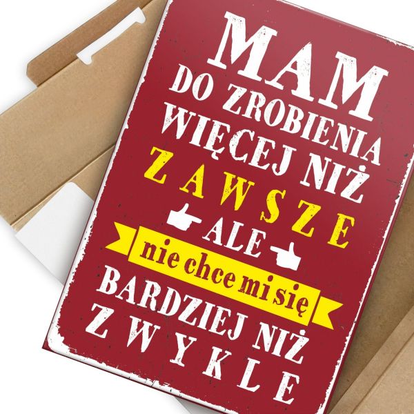 mam do zrobienia
