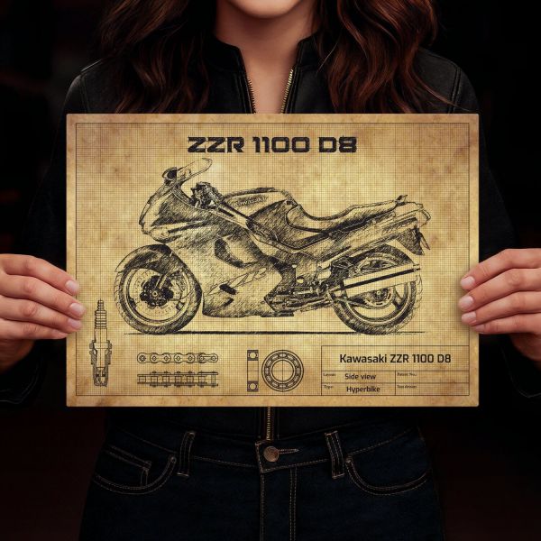 Kawasaki ZZR 1100 D8