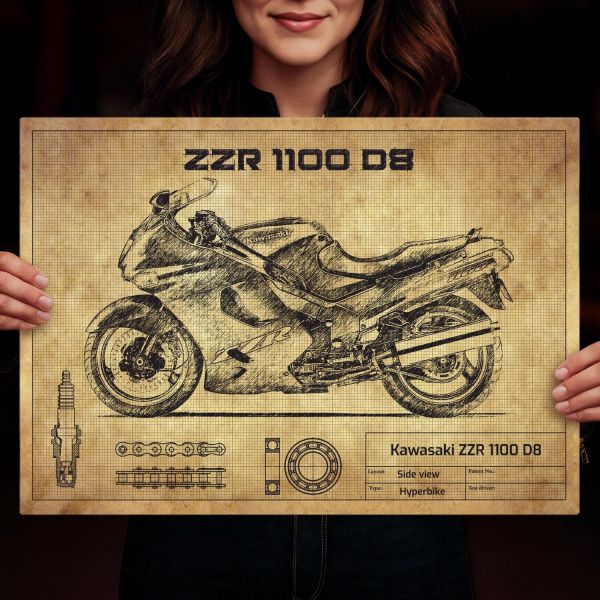 Kawasaki ZZR 1100 D8