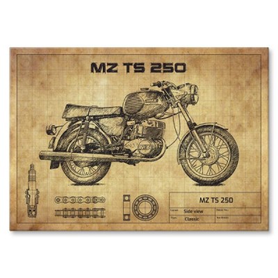 MZ TS 250