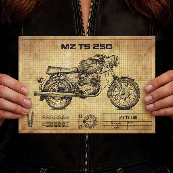 MZ TS 250