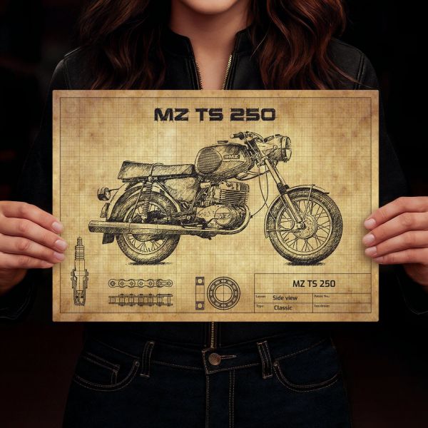 MZ TS 250