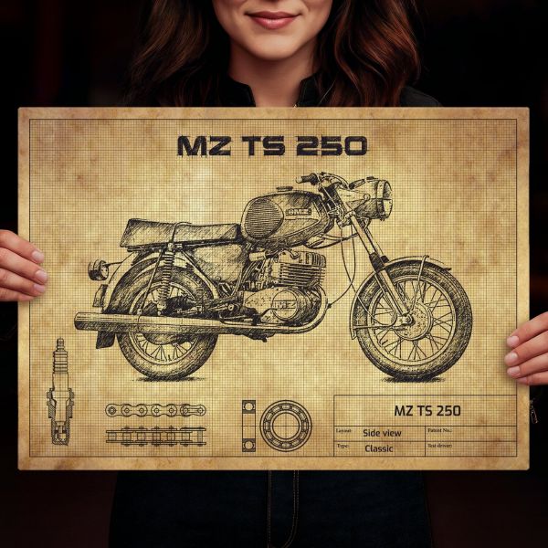 MZ TS 250