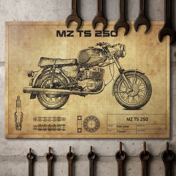 MZ TS 250
