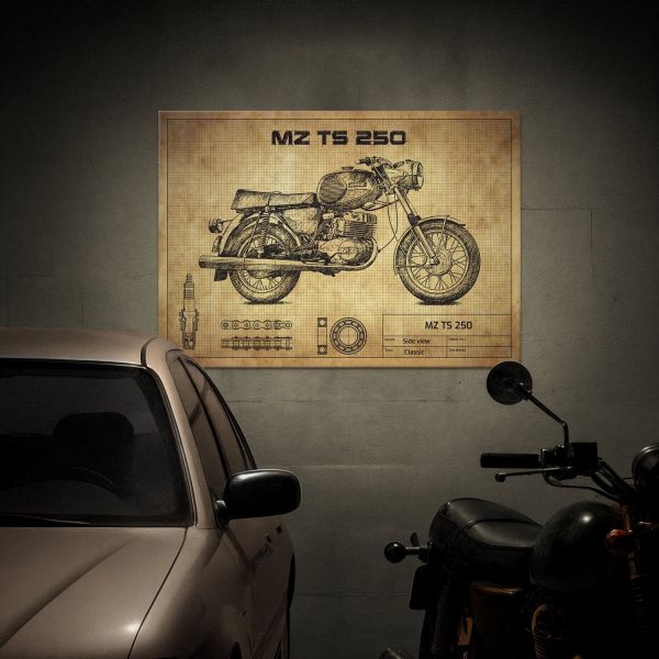 MZ TS 250