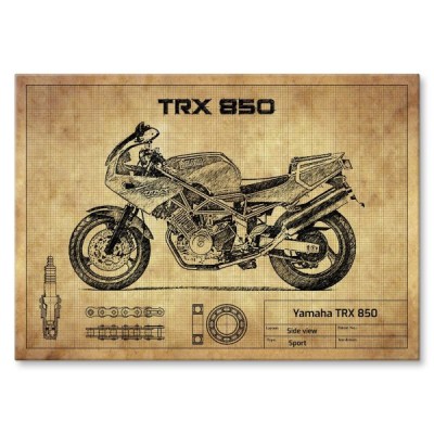 Yamaha TRX 850