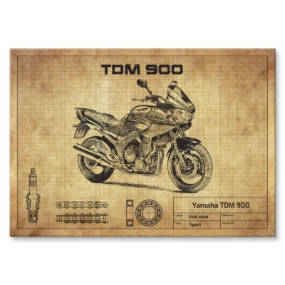 Yamaha TDM 900