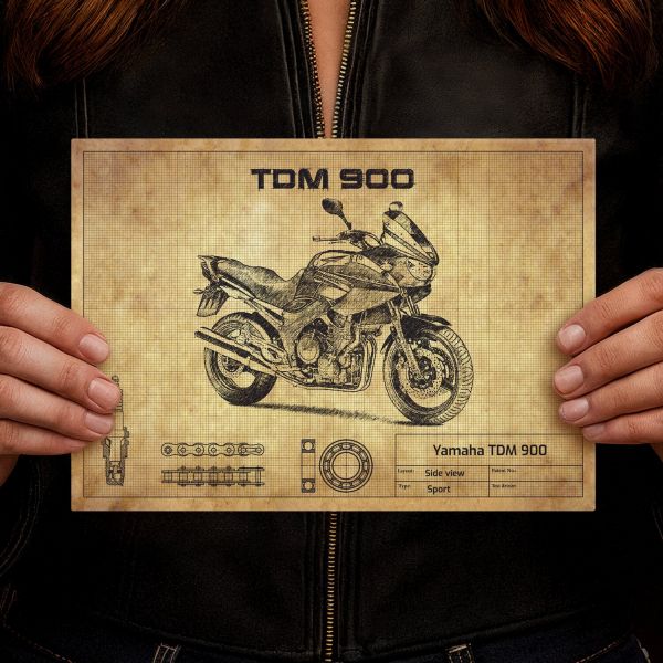 Yamaha TDM 900