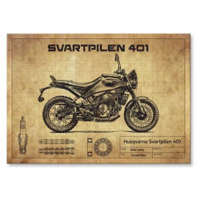 Husqvarna Svartpilen 401