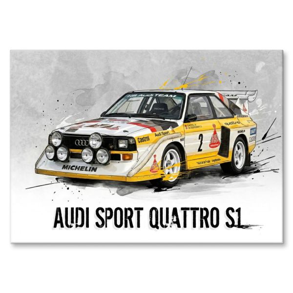 Audi Sport Quattro S1