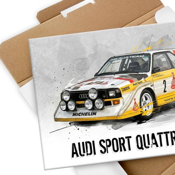 Audi Sport Quattro S1