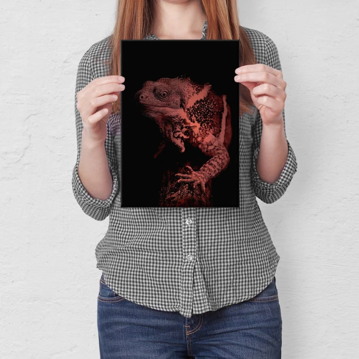 Plakat metalowy Jaszczur Prezent