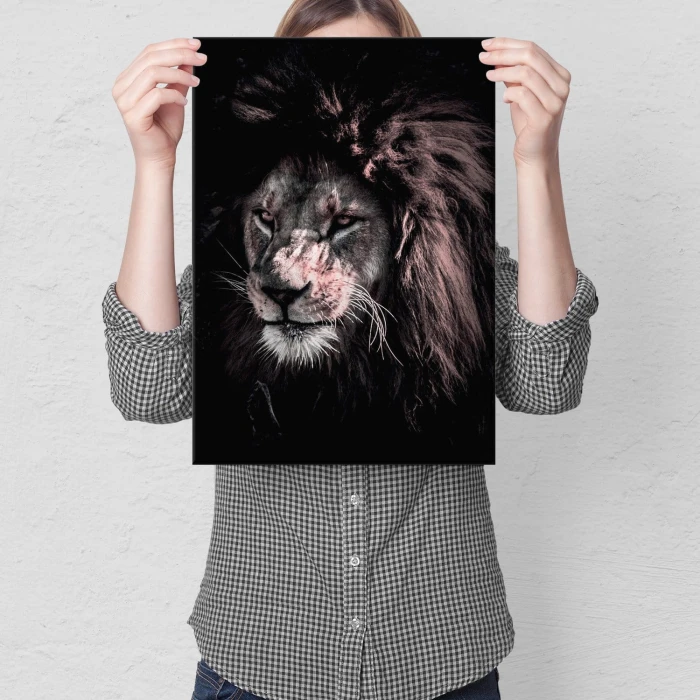 Plakat metalowy Lew Prezent