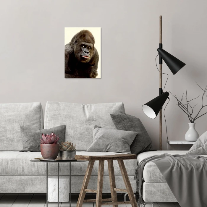 Plakat metalowy Goryl Prezent