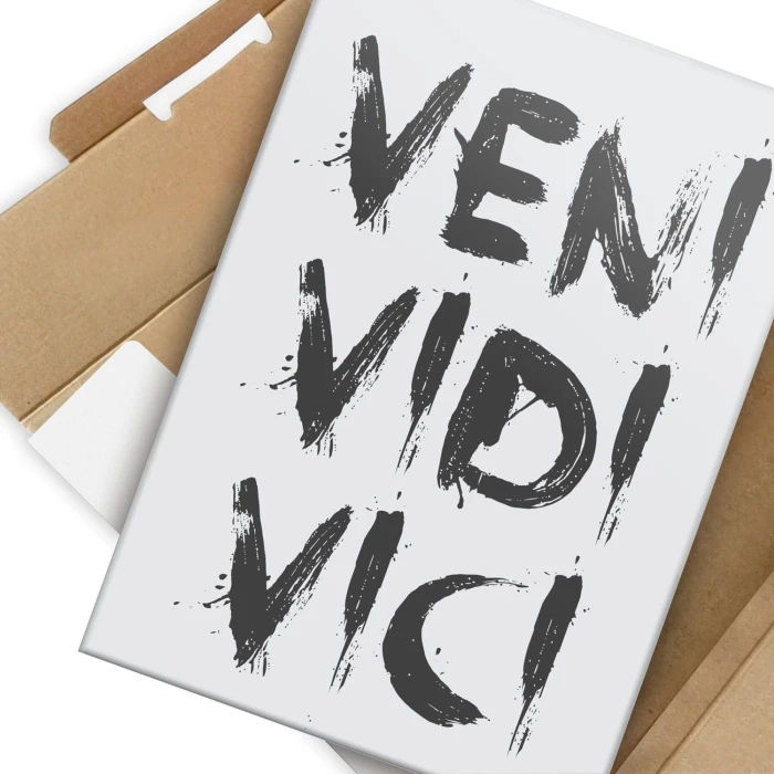 Plakat metalowy Veni vidi vici Prezent