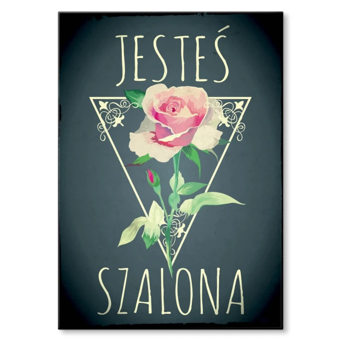 Plakat metalowy Jesteś szalona Prezent
