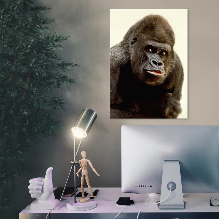 Plakat metalowy Goryl Prezent