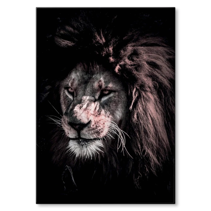Plakat metalowy Lew Prezent