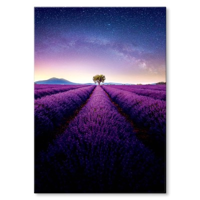 Plakat metalowy Drzewo na polu lawendy Prezent