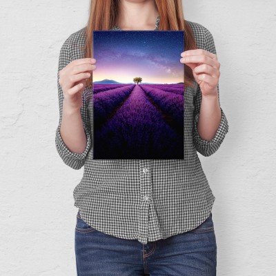 Plakat metalowy Drzewo na polu lawendy Prezent