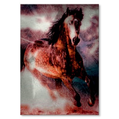 Plakat metalowy Koń w biegu Prezent
