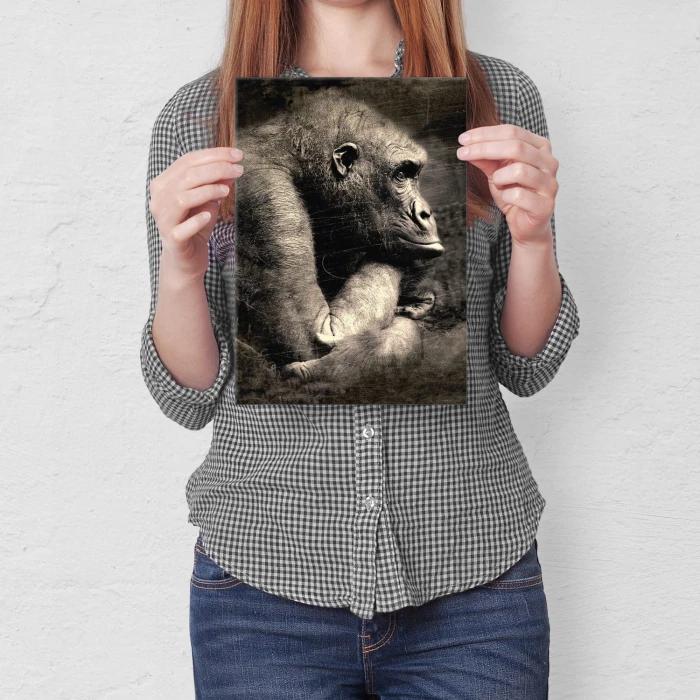 Plakat metalowy Portret małpy Prezent