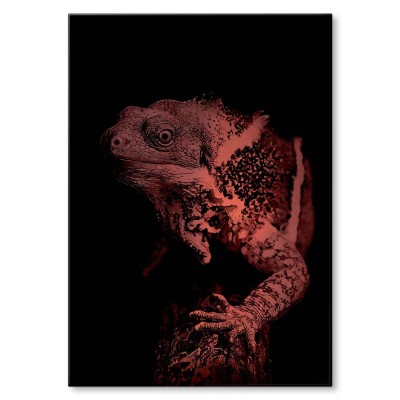 Plakat metalowy Jaszczur Prezent