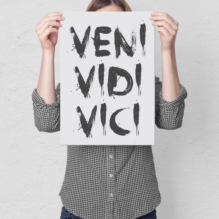 Plakat metalowy Veni vidi vici Prezent