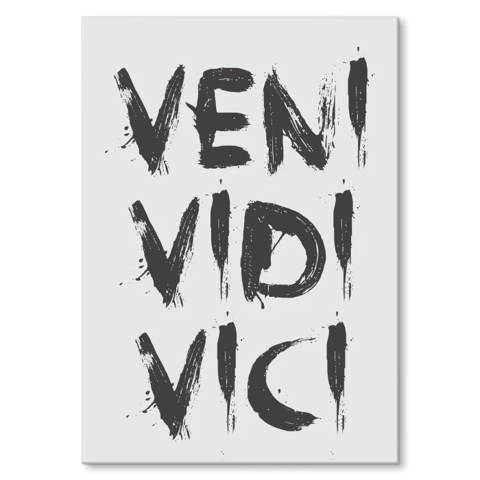 Plakat metalowy Veni vidi vici Prezent
